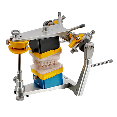 Gut 3D Modell V2.4 - nur Arti - 400px